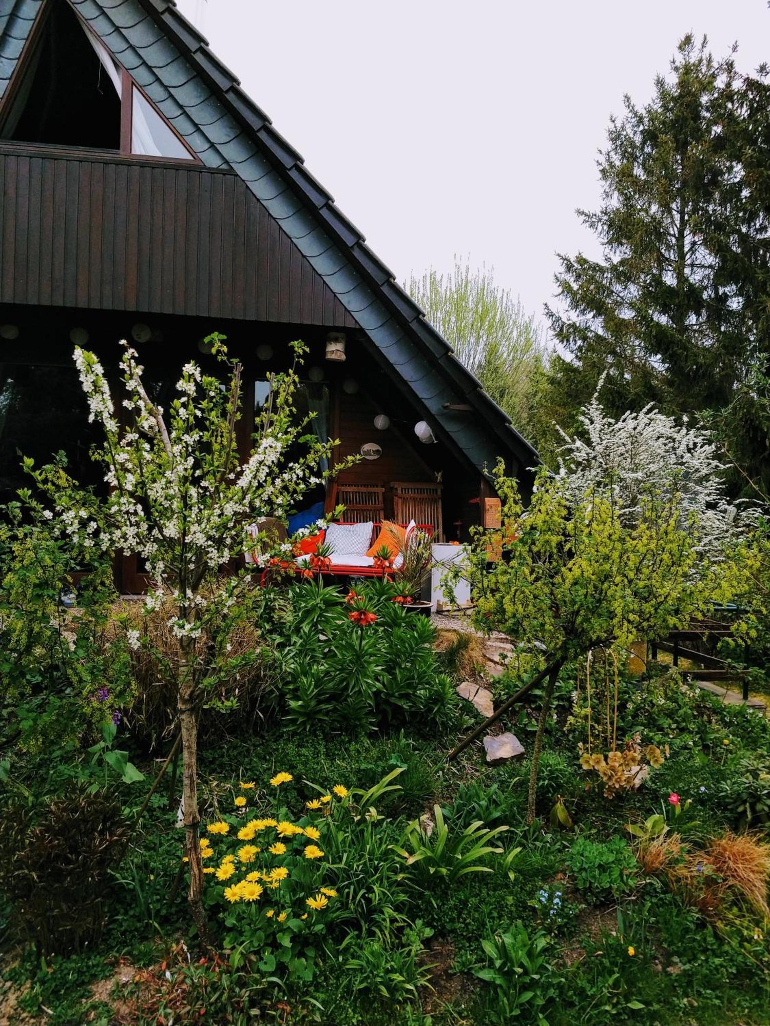 Willa Haus 187 Freilingen Blankenheim  Zewnętrze zdjęcie